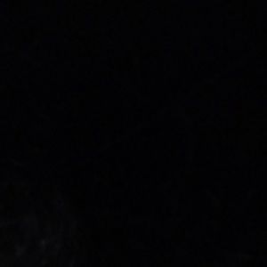 Meet your Posher, Erick